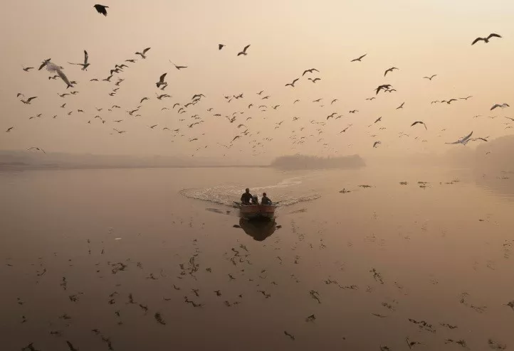 a man sails his boat amidst heavy smog in the yamuna river in the old quarters of delhi india november 4 2022 reuters adnan abidi a man sails his boat amidst heavy smog in the yamuna river in the old quarters of delhi india november 4 2022 reuters adnan abidi