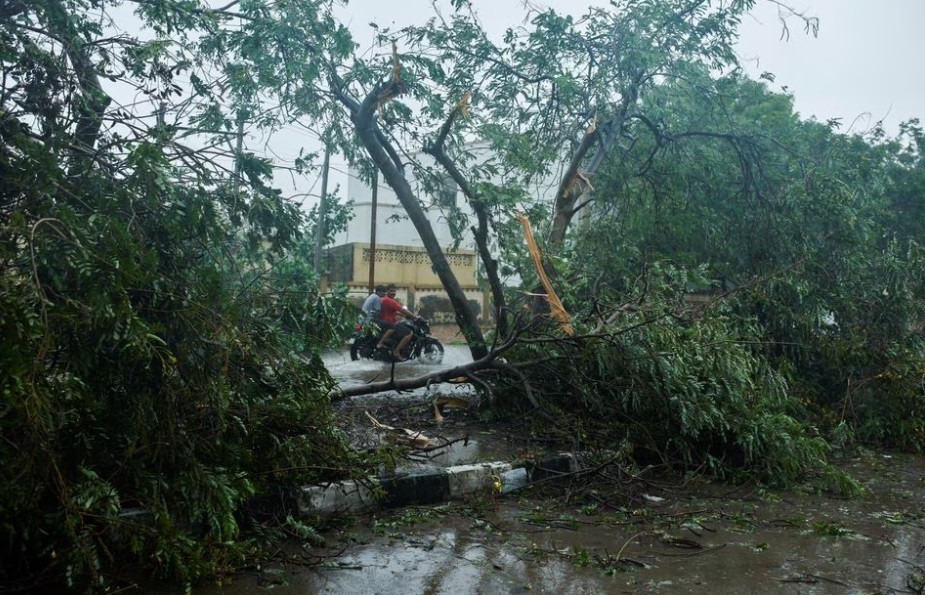 People ride past a fallen tree during the aftermath of Cyclone Biparjoy after it made landfall, in Bhuj in the western state of Gujarat, India, June 16, 2023. PHOTO: REUTERS