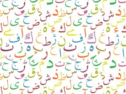 experts to set rules on urdu alphabets usage
