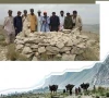 sindh govt grants heritage status to a dog s grave in kirthar region