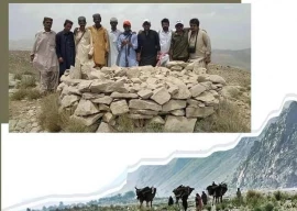 sindh govt grants heritage status to a dog s grave in kirthar region