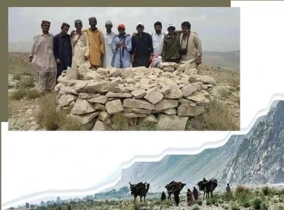 sindh govt grants heritage status to a dog s grave in kirthar region