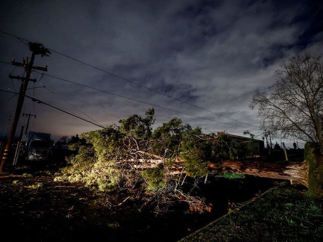 a tree blocks a roadway after it fell in high winds during a winter storm in west sacramento california u s january 8 2023 reuters a tree blocks a roadway after it fell in high winds during a winter storm in west sacramento california u s january 8 2023 reuters