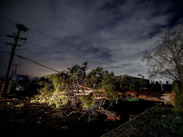 a tree blocks a roadway after it fell in high winds during a winter storm in west sacramento california u s january 8 2023 reuters a tree blocks a roadway after it fell in high winds during a winter storm in west sacramento california u s january 8 2023 reuters