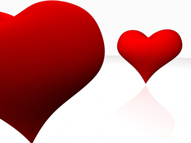 valentines day florists cheer as cupid shoots its arrow valentines day florists cheer as cupid shoots its arrow