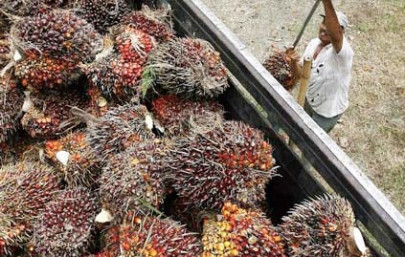 180 000 tons of palm oil may arrive in july
