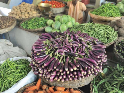 the basics of a healthy diet