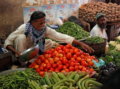 govt can consider vegetable imports from india miftah