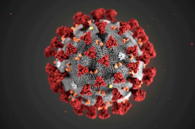 the ultrastructural morphology exhibited by the 2019 novel coronavirus which was identified as the cause of an outbreak of respiratory illness first detected in wuhan china is seen in an illustration released by the centres for disease control and prevention cdc in atlanta georgia us january 29 2020 photo reuters