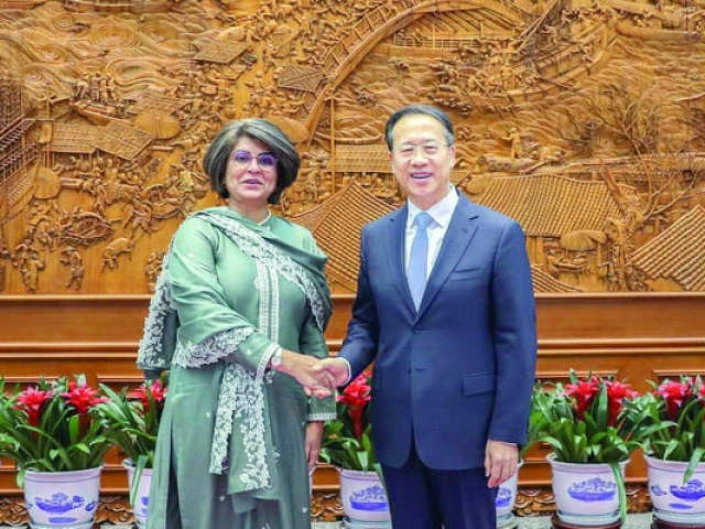 foreign secretary amna baloch shakes hands with chinese vice foreign minister ma zhaoxu in beijing photo express foreign secretary amna baloch shakes hands with chinese vice foreign minister ma zhaoxu in beijing photo express