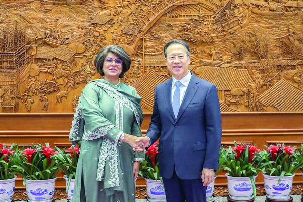 foreign secretary amna baloch shakes hands with chinese vice foreign minister ma zhaoxu in beijing photo express