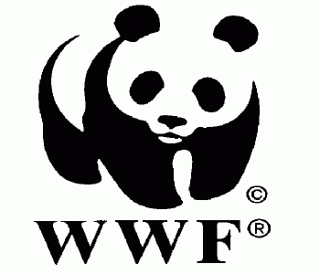 wwf launches green schools programme
