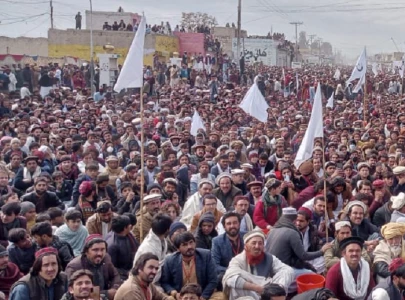 top religious scholars issue unanimous edict against terrorism top religious scholars issue unanimous edict against terrorism