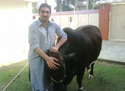 family giving up hope as site killing of industrialist s son hits dead end family giving up hope as site killing of industrialist s son hits dead end