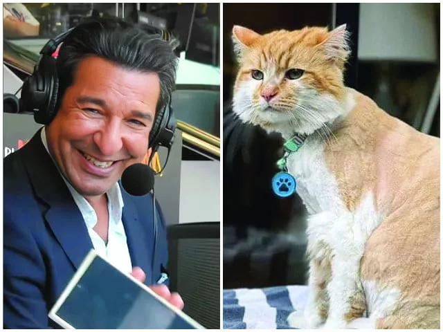 wasim akram pays the price for purr fection wasim akram pays the price for purr fection