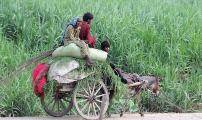 water levels normalise as displaced people return home water levels normalise as displaced people return home