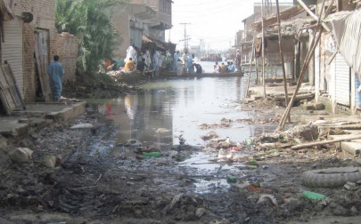 watery khairpur nathan shah wants action