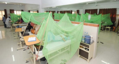 we re looking at a dengue epidemic this year we re looking at a dengue epidemic this year
