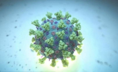tracking the deadly coronavirus