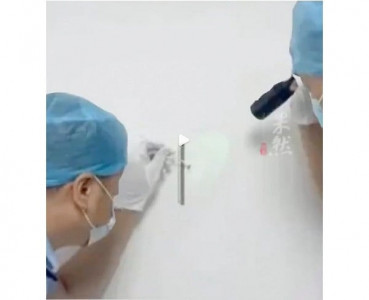 chinese police catch burglar with dna from mosquitoes that bit him