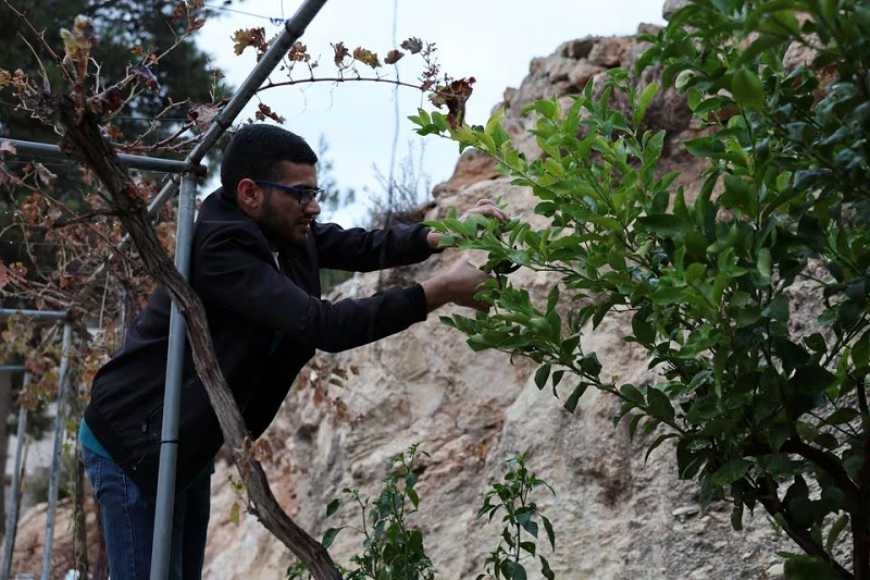 مغربی کنارے کی گرفتاریوں کے درمیان فلسطینیوں نے اسرائیلی بدسلوکی کی اطلاع دی۔  ایکسپریس ٹریبیون