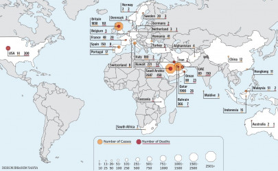over 1 200 pakistanis lost to covid 19 while abroad over 1 200 pakistanis lost to covid 19 while abroad