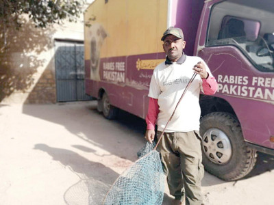fighting against rabies for the love of man and dog fighting against rabies for the love of man and dog
