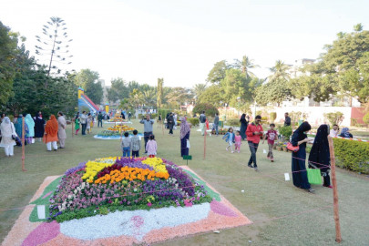 celebration of colours and fragrances celebration of colours and fragrances