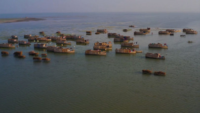 vanishing wetlands affect people wildlife vanishing wetlands affect people wildlife