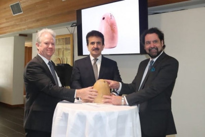 australia returns illegally smuggled bronze age artefact to pakistan