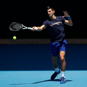 djokovic admits errors in travel papers djokovic admits errors in travel papers