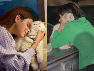 influencer waliya najib reunited with her cat after two months fans rejoice the reunion