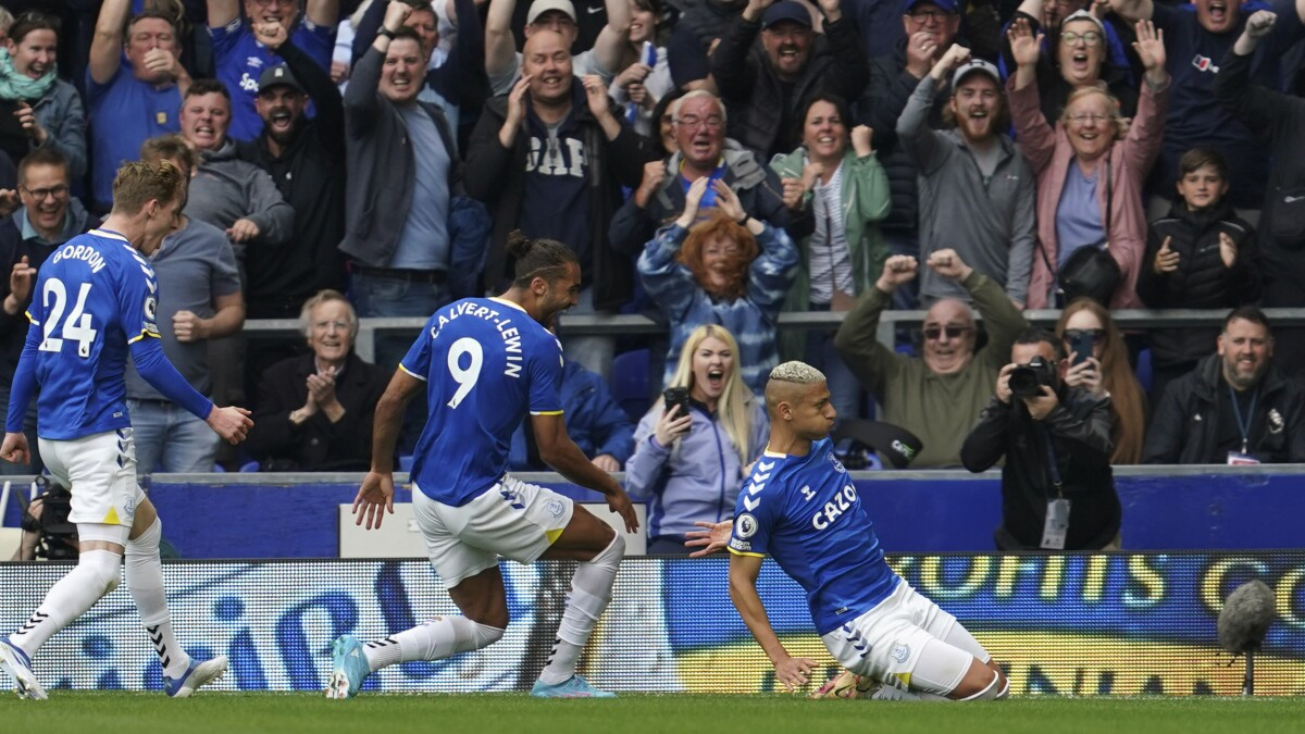 Everton comeback secures survival