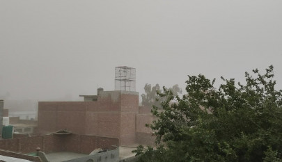 dust storms while detrimental to humans will aid punjab s marine life dust storms while detrimental to humans will aid punjab s marine life