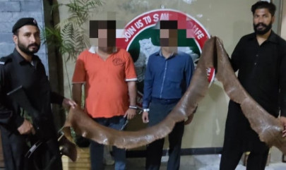 snake skin smugglers caught in haripur snake skin smugglers caught in haripur