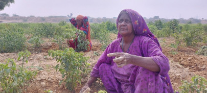 malir s produce basket is becoming empty