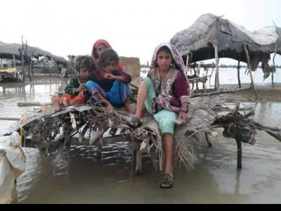 rain wreaks havoc in sindh