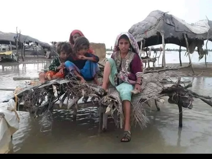 rain wreaks havoc in sindh rain wreaks havoc in sindh