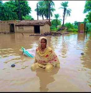 swamped starving and forsaken