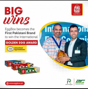 pakistani brand eggbox wins the coveted golden egg award in netherlands