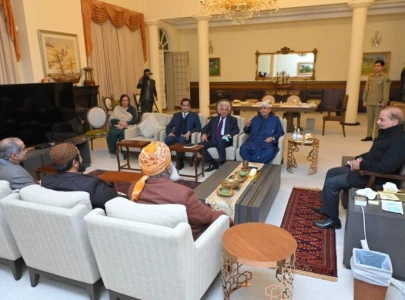 pm discusses political economic situation with zardari fazl