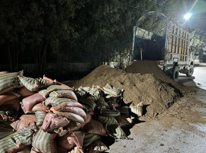 customs team foils betel nut smuggling bid in karachi