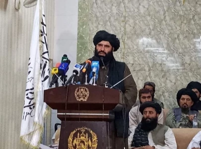 governor of afghanistan s balkh province killed in suicide attack