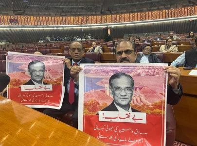 parliament s ruling sought to deal with pti