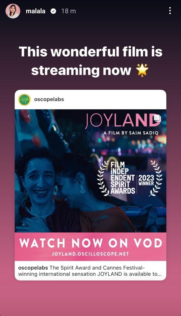Joyland is available to stream on VOD platforms