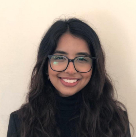 the writer is a research associate lawfare and international law chair at ipri the writer is a research associate lawfare and international law chair at ipri