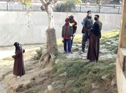 zoo intruder mauled to death by tigers