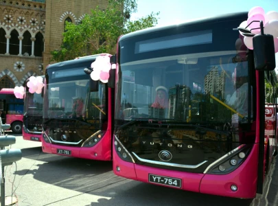 women get free rides on pink buses for two months women get free rides on pink buses for two months