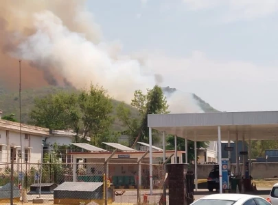 firefighters battle new round of forest fires on margalla hills