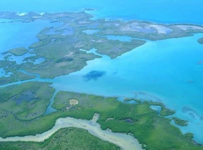 oceans day rising pollution imperils marine life